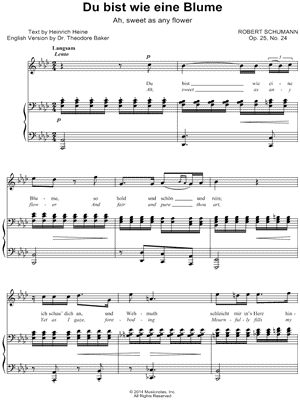 Myrthen, Op. 25: XXIV. Du bist wie eine Blume