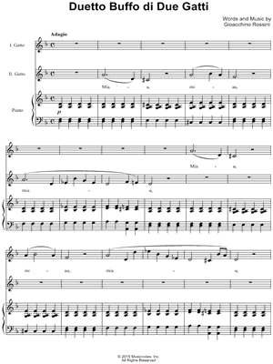 Duetto Buffo Di Due Gatti