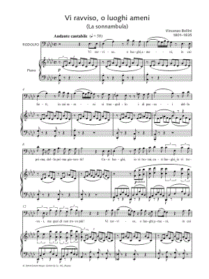 Vi ravviso, o luoghi ameni