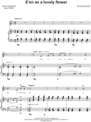 E'en as a lovely flower