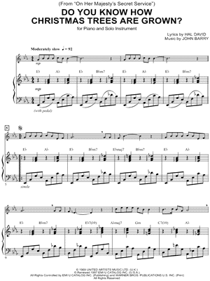 Do You Know How Christmas Trees Are Grown?