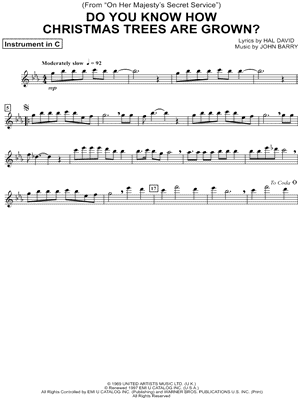 Do You Know How Christmas Trees Are Grown?