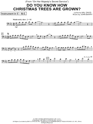 Do You Know How Christmas Trees Are Grown?