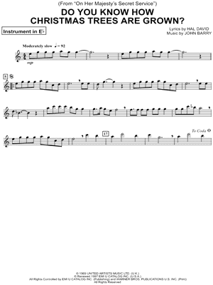 Do You Know How Christmas Trees Are Grown?