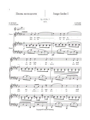 Junge Lieder I