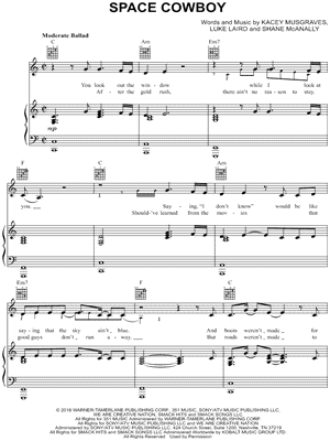 Space Cowboy