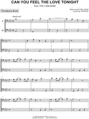 Can You Feel the Love Tonight