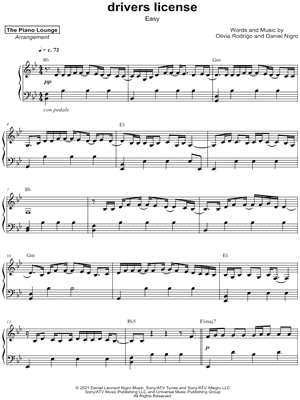 drivers license [easy]