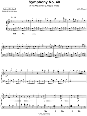 Symphony No. 40: I. Molto Allegro