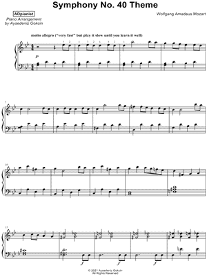 Symphony No. 40 in G Minor: I. Molto allegro