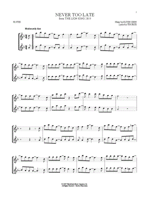 Never Too Late - Flute Duet