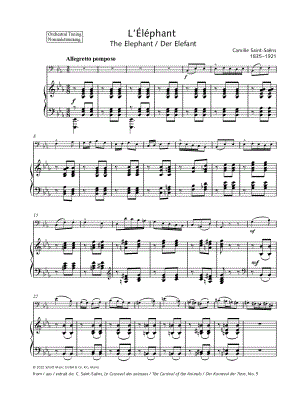 The Elephant - Double Bass & Piano