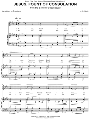 Jesus, Fount of Consolation