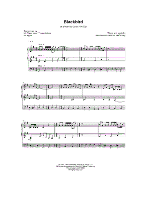 Blackbird (Louis Van Dijk)