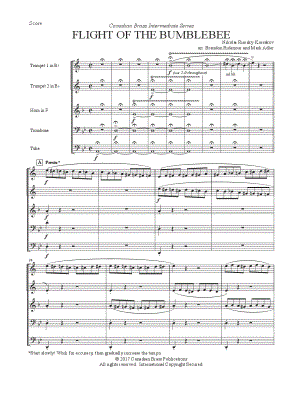 The Flight of the Bumblebee